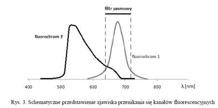 Schematyczne przedstawienie zjawiska przenikania się kanałów fluorescencyjnych  cytometria
